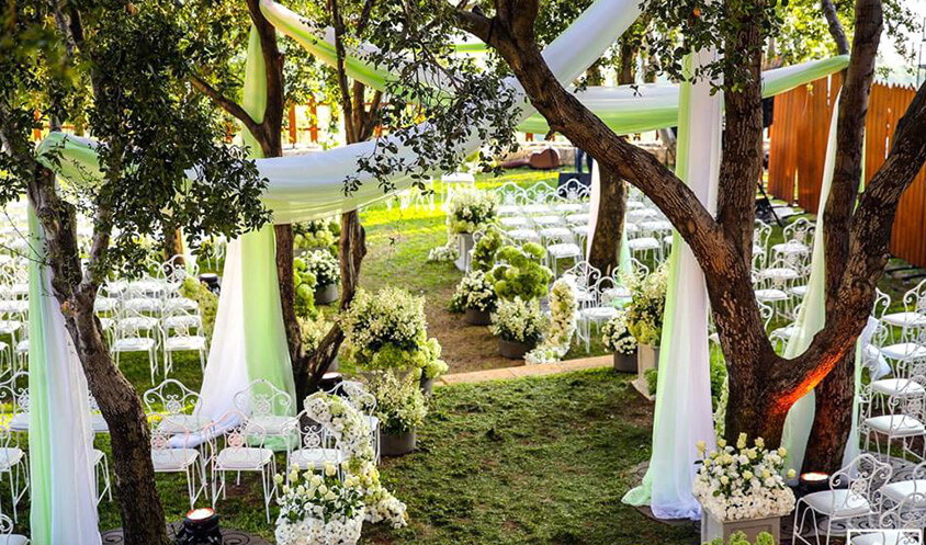 Eden Garden